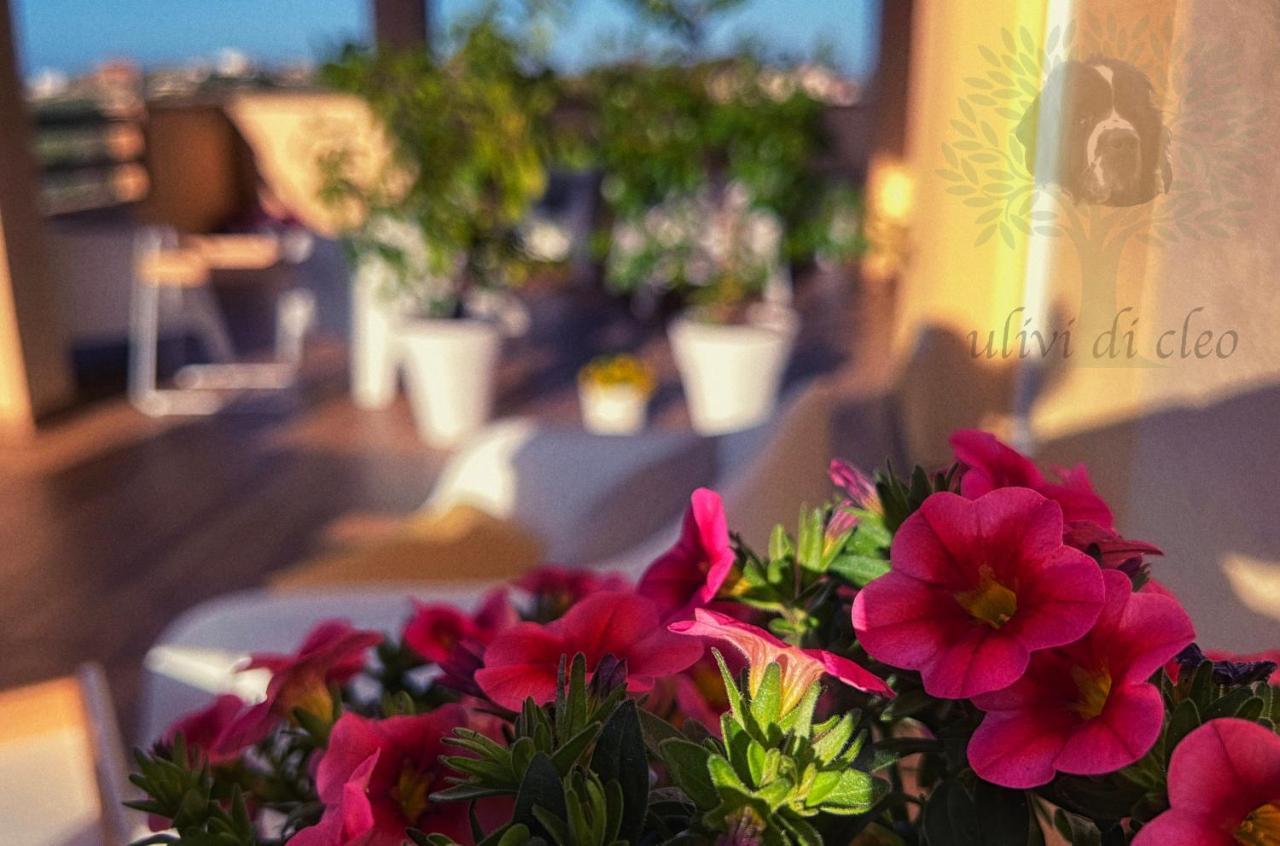 Ulivi Di Cleo Guest House Реалмонте Екстериор снимка