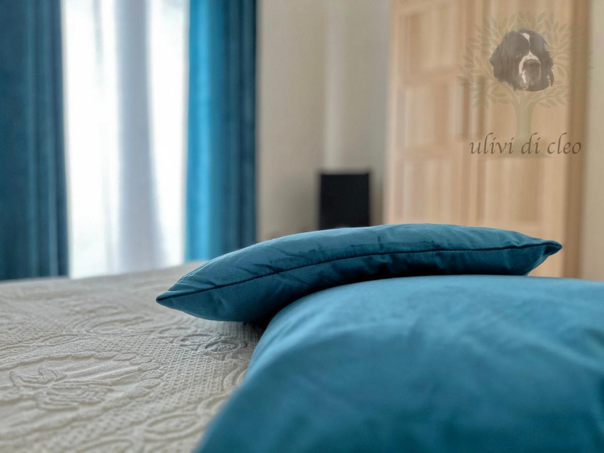 Ulivi Di Cleo Guest House Реалмонте Екстериор снимка