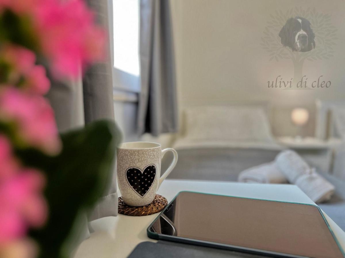 Ulivi Di Cleo Guest House Реалмонте Екстериор снимка