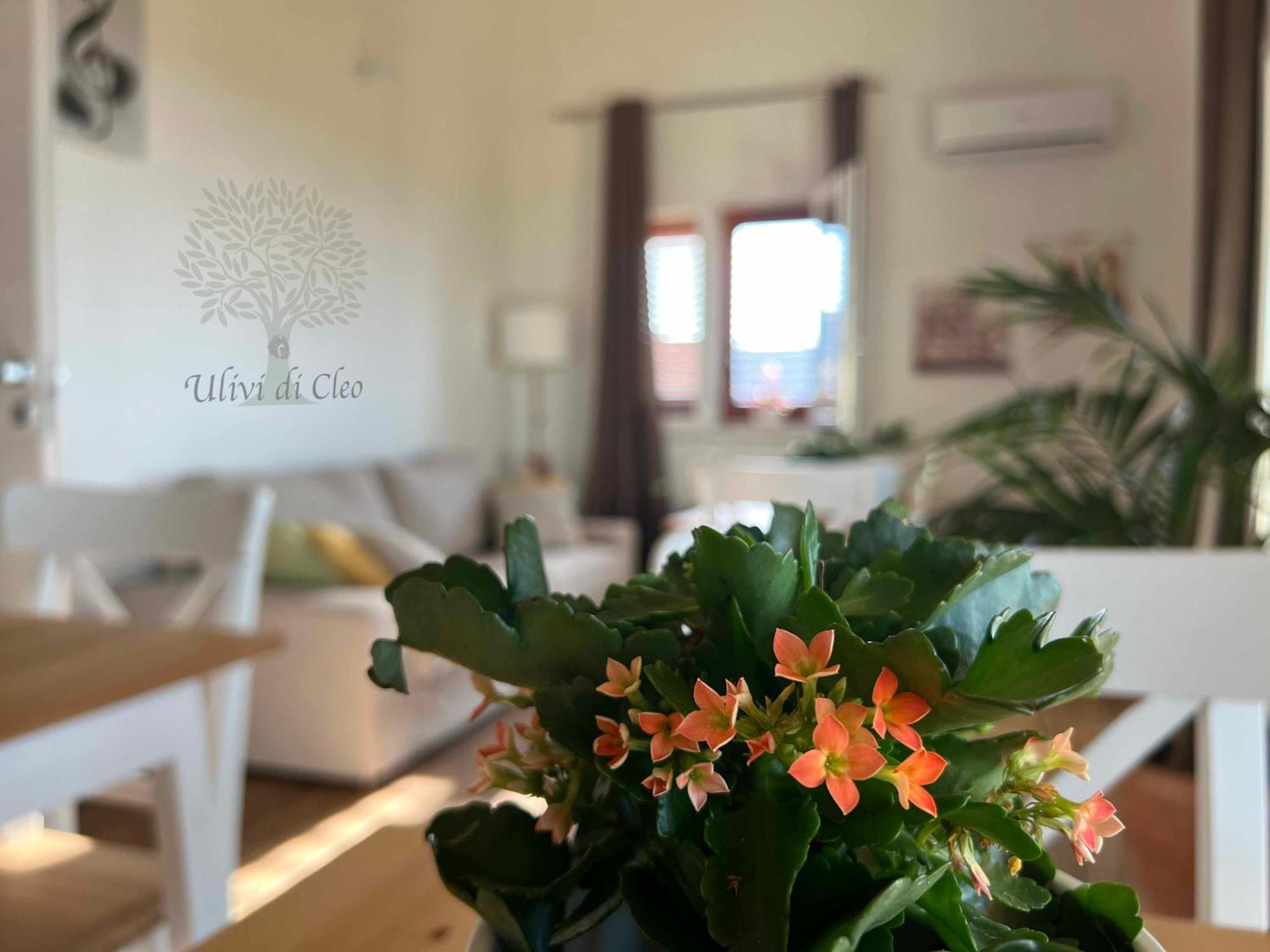 Ulivi Di Cleo Guest House Реалмонте Екстериор снимка