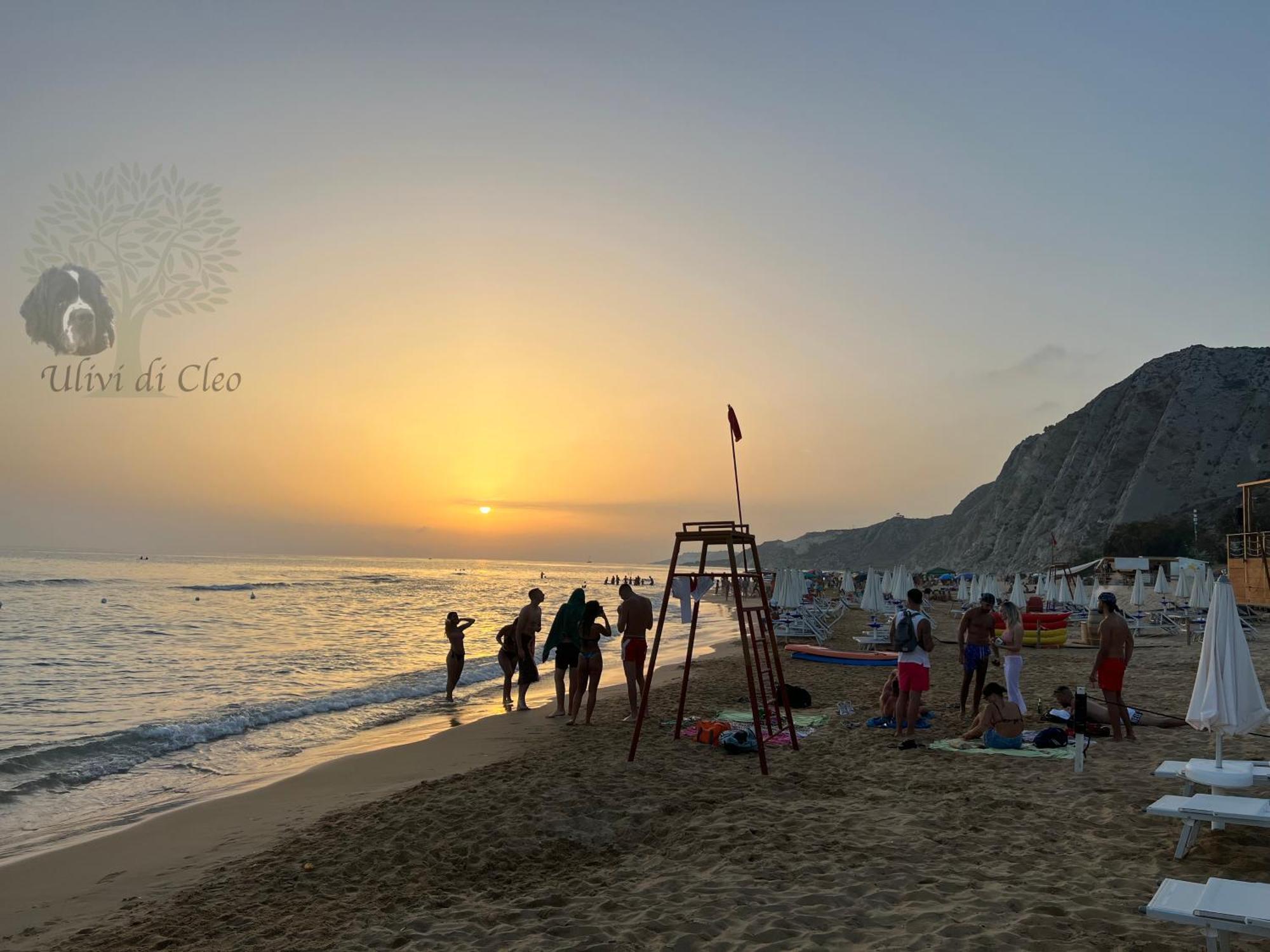 Ulivi Di Cleo Guest House Реалмонте Екстериор снимка