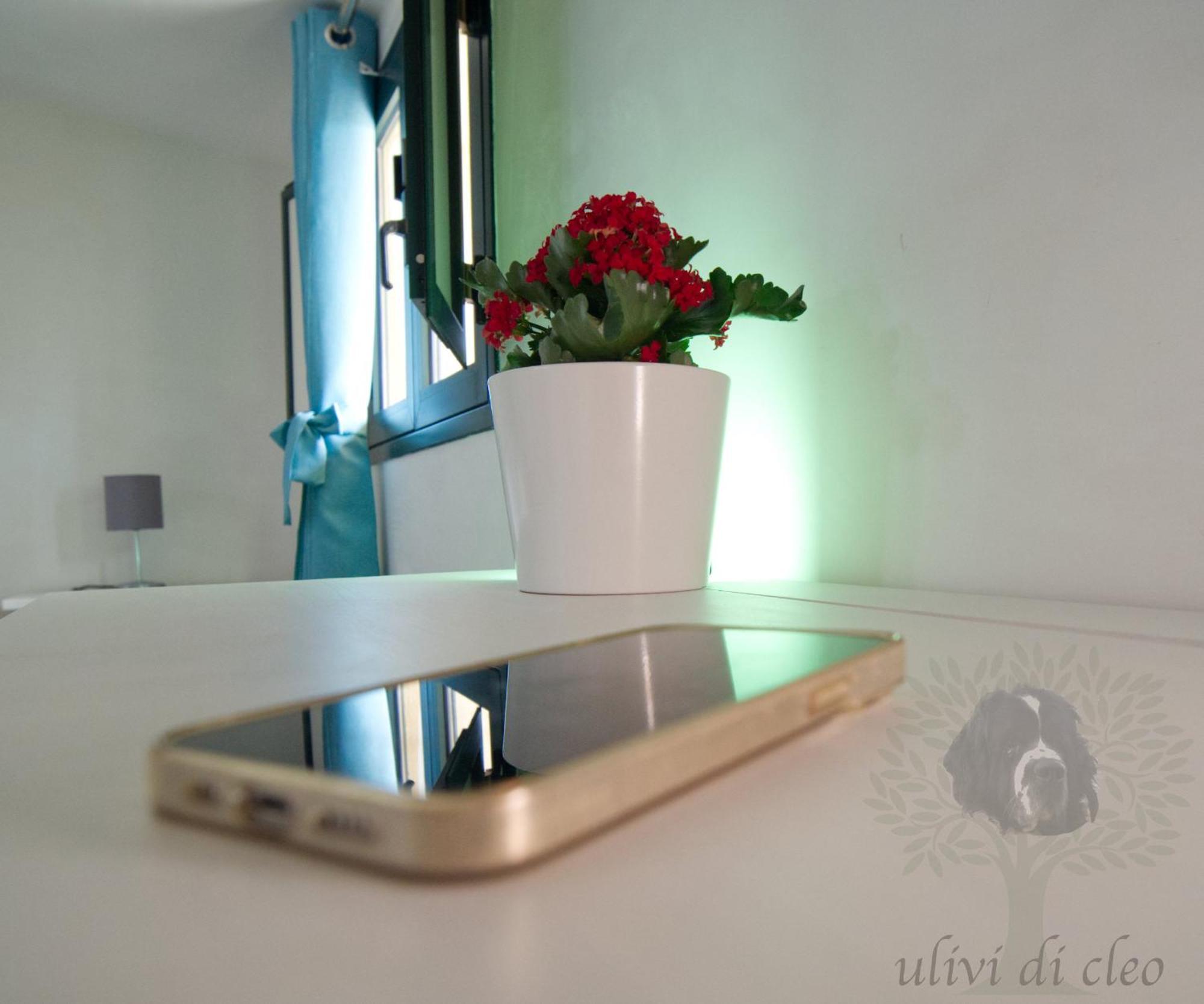 Ulivi Di Cleo Guest House Реалмонте Екстериор снимка