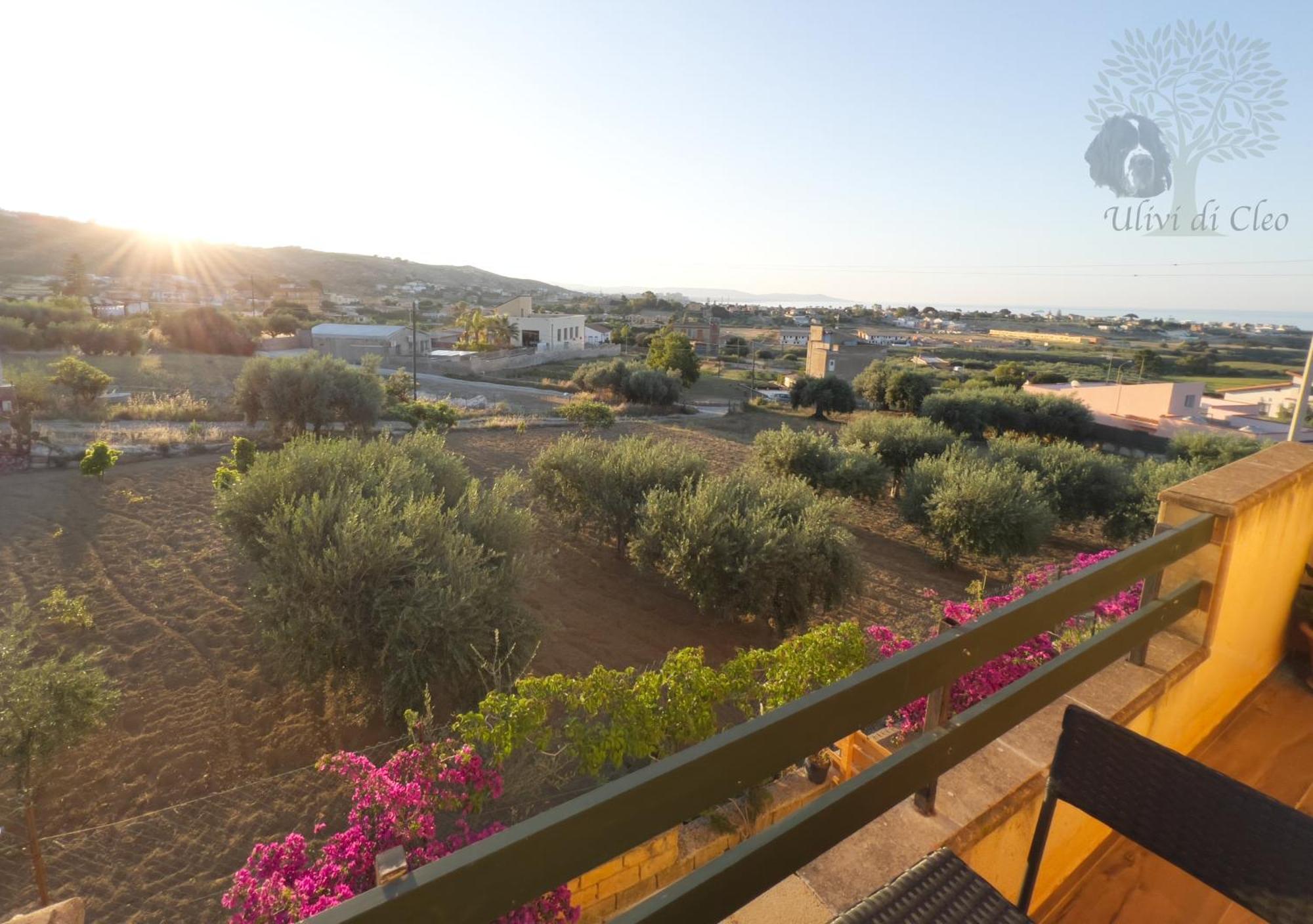 Ulivi Di Cleo Guest House Реалмонте Екстериор снимка